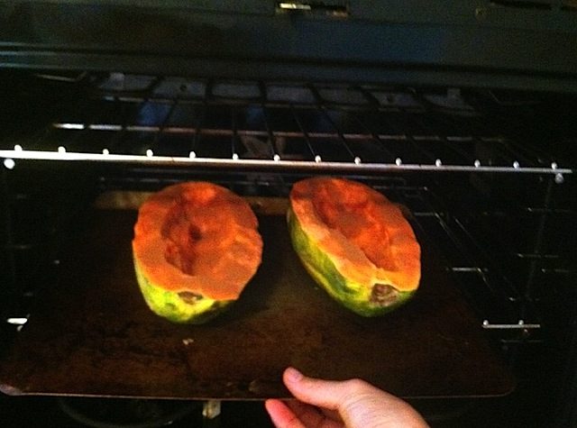 papaya-oven-4308961