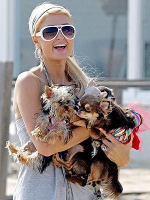 paris-hilton-1040895