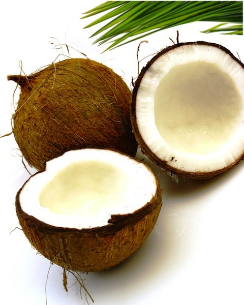 coconuts-use1-7309918