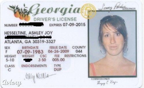 bad-license-pic-5165561