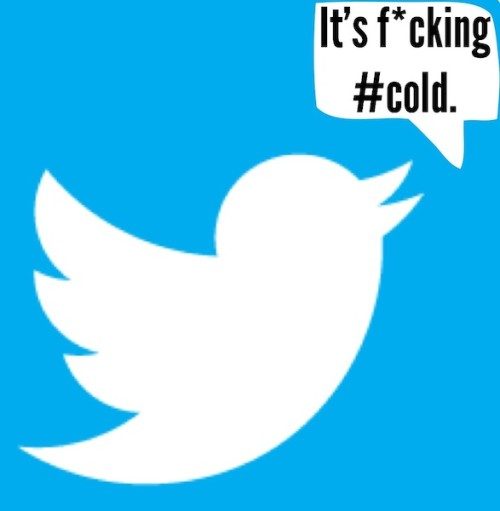 cold-twitter-bird-500x511-7960087