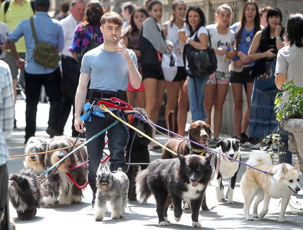 daniel-radcliffe-4363819